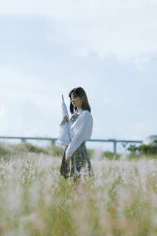 晨阳